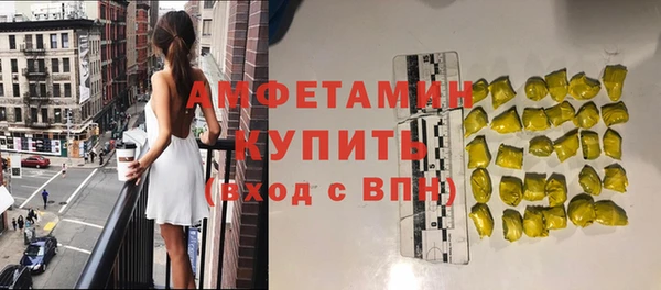 хмурый Арсеньев