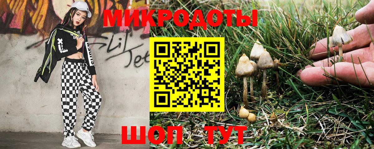 Калач-на-Дону  Галлюциногенные грибы прущие грибы  Вход с VPN 